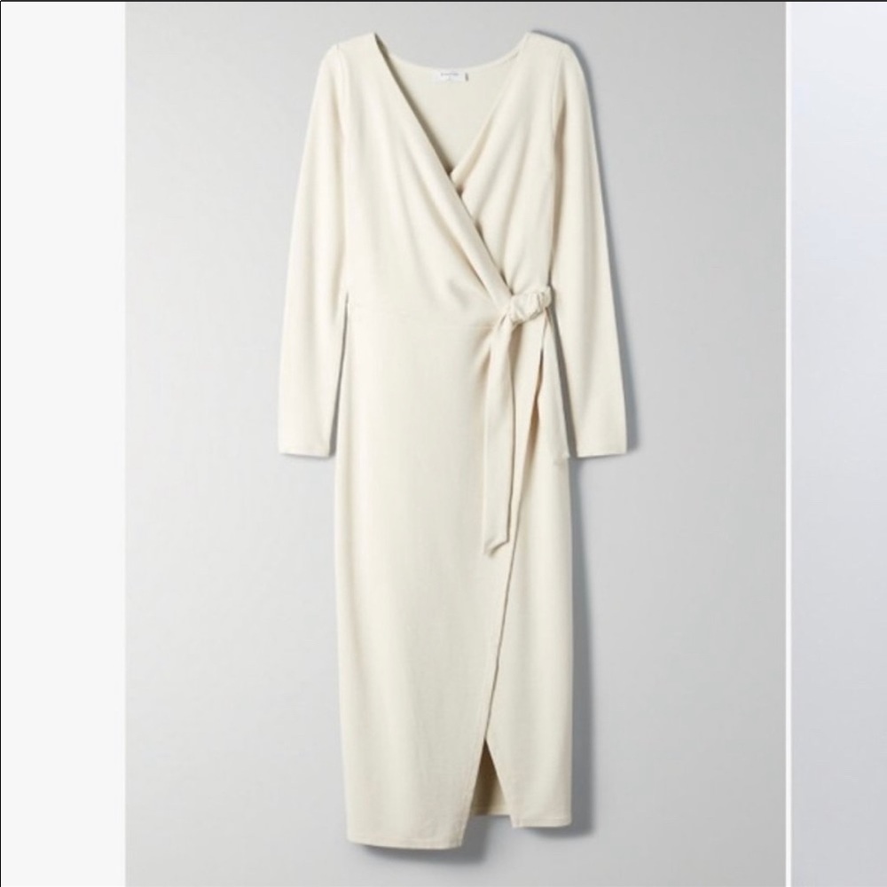Aritzia Dress